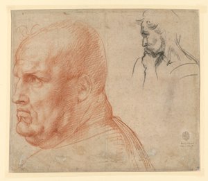  作： Andrea del Sarto