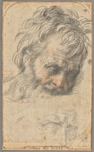 聖ヨセフの頭部の習作（レクト）；2つの脚の習作（裏面） 作： Andrea del Sarto