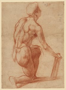  作： Andrea del Sarto