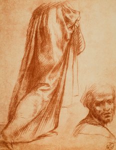 カーテンと男性の肖像画の研究;アンドレア・デル・サルトの絵。内閣描画と版画、ウフィツィ美術館、フィレンツェ 作： Andrea del Sarto