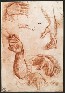 "Study of hands" ドローイング木炭(チャコール) 作： Andrea del Sarto