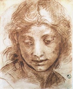 若い女性の頭部の習作（チョーク） 作： Andrea del Sarto