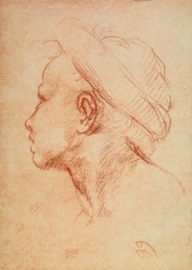 若者が横顔に 作： Andrea del Sarto