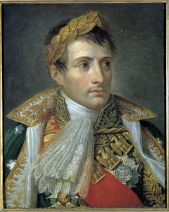 ナポレオン1世の肖像」アンドレア・アッピアーニ（1754～1817）の作品。リソルジメントの博物館。ミラノ 作： Andrea the Elder Appiani
