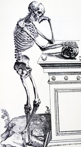 頭蓋骨を手にした人骨。ヴェサリウス著 "De Humani Corporis Fabrica "より。木こりの可能性：ヤン・フォン・カルカル
