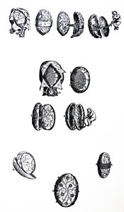 De Humani Corporis Fabricaの5冊目の版 作： Andreas Vesalius