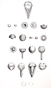 De Humani Corporis Fabricaの7番目の本のプレート 作： Andreas Vesalius