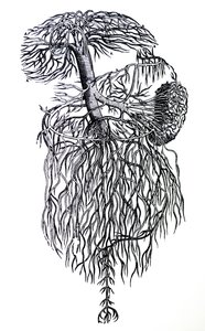De Humani Corporis Fabricaの3冊目のプレート 作： Andreas Vesalius