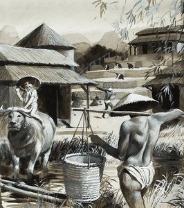 中国の農業（グワッシュ、紙） 作： アンドリュー・ハウワット