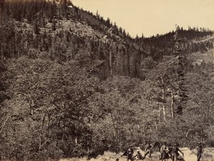 プレート191869年、リトルララミー川源流の木材の間（写真）。 作： アンドリュー・ジョセフ・ラッセル