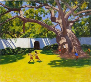 古代のキャンパーツリー、VERGELEGEN ESTATE、南アフリカ 作： Andrew Macara