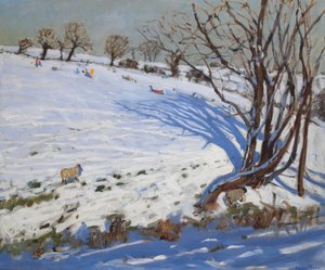  作： Andrew Macara