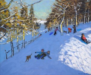 家族そり、Youlgreave、ダービーシャー。 2016年 作： Andrew Macara