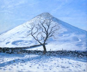 ヒルとツリー、ダービーシャー、2008 作： Andrew Macara