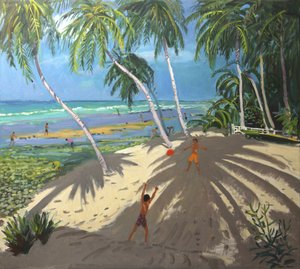 ヤシの木、クロベリービーチ、バルバドス、2013年 作： Andrew Macara