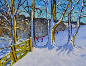 そり、ダムレーン、ダービーシャー、2017、 作： Andrew Macara