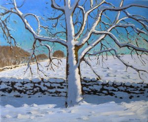 雪に覆われた木、2011年（キャンバスに油彩） 作： Andrew Macara