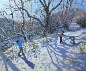 スノーボールファイト、2007 作： Andrew Macara