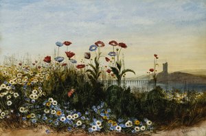 野生の花の銀行を通して見たフェリーキャリグ城、ウェックスフォード、 作： Andrew Nicholl