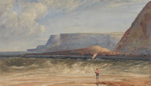 アントリムの海岸 作： Andrew Nicholl