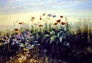 野の花（水彩・紙） 作： Andrew Nicholl