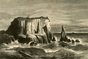 「海岸の情景、マリン郡」、1872 年。 作： Andrew Varick Stout Anthony