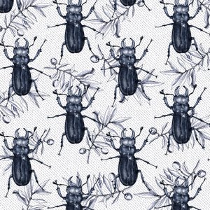 クワガタムシ、2017年、インク 作： Andrew Watson