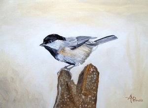 木の切り株の上のシジュウカラ