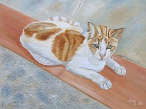 警戒心の強いオレンジのトラ猫 作： Angeles M. Pomata
