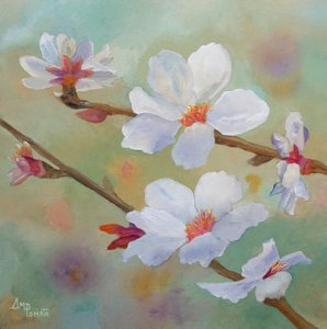 白いアーモンドの花