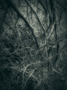  作： 