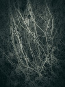  作： 