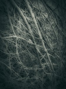  作： 