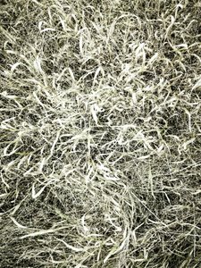  作： 