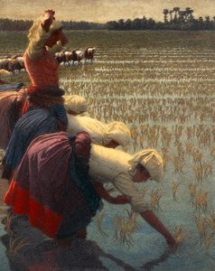 モンディーヌ（イタリアの女性稲作労働者） 作： Angelo Morbelli