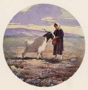 Goatherd、アッティカ、ギリシャ (カラー リソ)