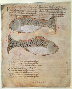 Cott Tib B V Par I 33v 「東の驚異」の星座うお座、1030年頃（ベラム） 作： Anglo Saxon