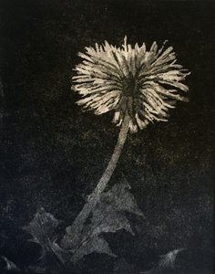 希望、2019年（紙にエッチングとアクアチント） 作： angus hampel