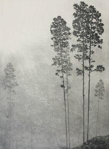 葉の鼓動、翼のざわめき、2021年（紙にエッチングとアクアティント） 作： angus hampel