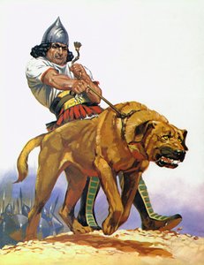 アッシリアの戦闘犬（カラーリトグラフ）