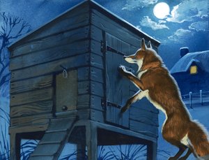 鶏小屋のキツネ