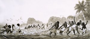カリブ海の原住民が魚を獲るために海を曳く網