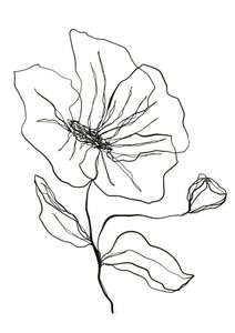 繊細な花のスケッチ