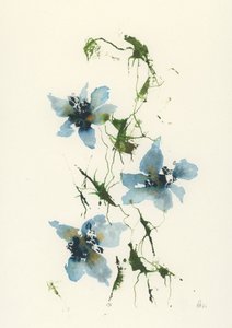 水彩の青い花