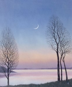 Draycote、2008年の夕暮れ 作： Anna Phillips