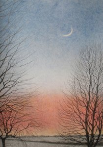 2010年初頭（紙に色鉛筆） 作： Anna Phillips
