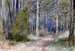 「森の中」、c1864-1930。 作： Anna Lea Merritt