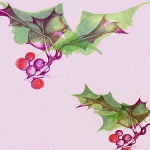 ホリー 作： Anna Platts