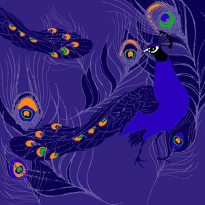 孔雀 作： Anna Platts