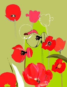 チューリップ 作： Anna Platts
